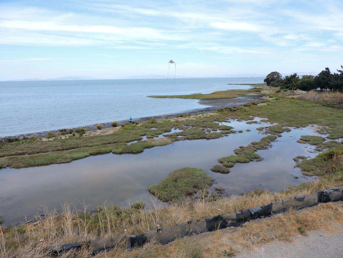 Bay Trail Openings: Hercules and Pinole