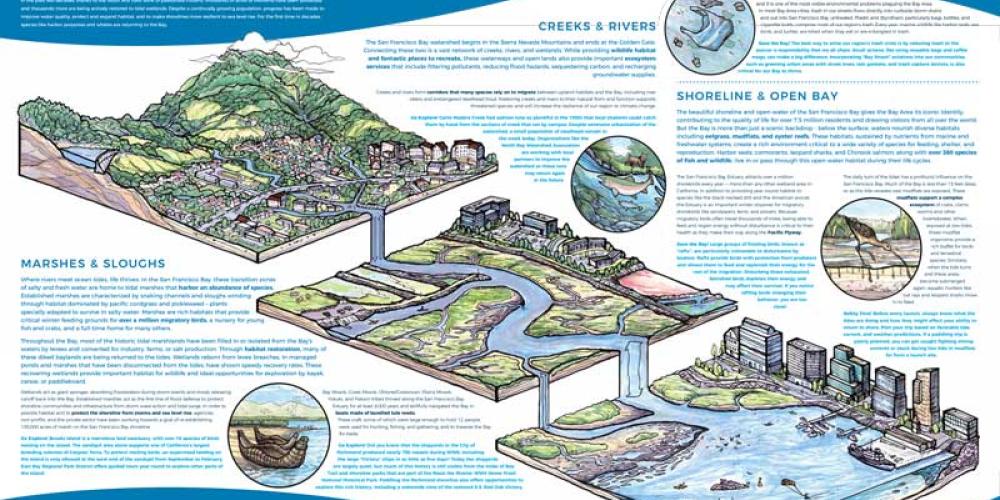 animated drawings of the San Francisco Estuary