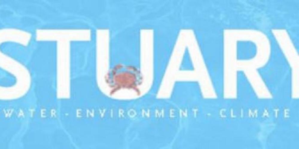 Estuary News banner logo