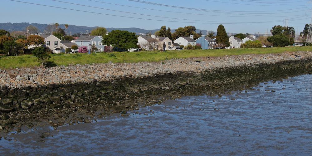 A shoreline community in the South Bay.