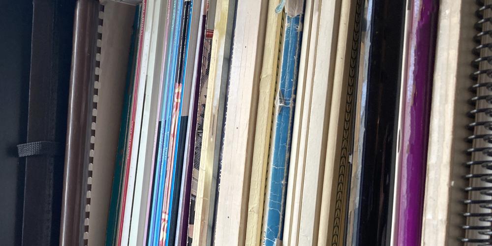 Books and periodicals on a shelf.