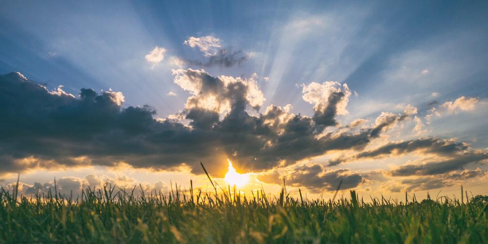 A striking, hopeful sunrise over a grassy field.