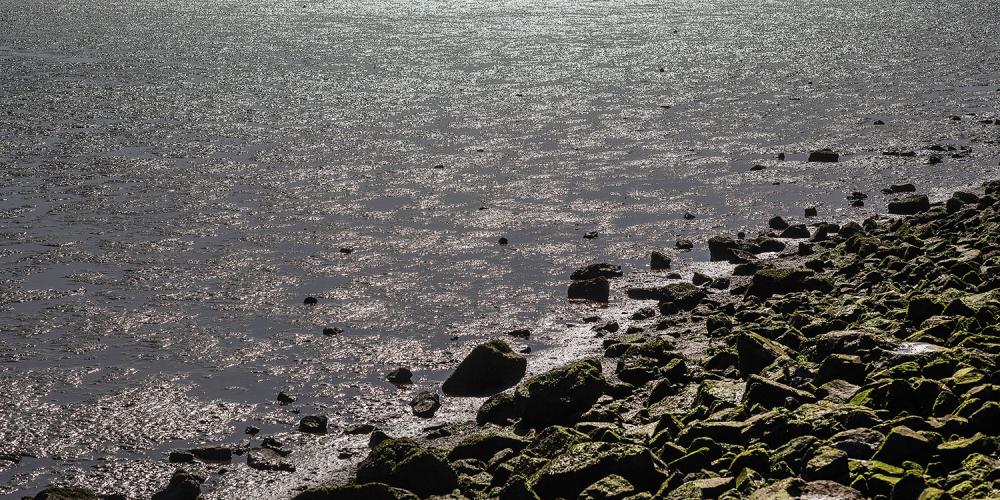Water and rocks at the shoreline.