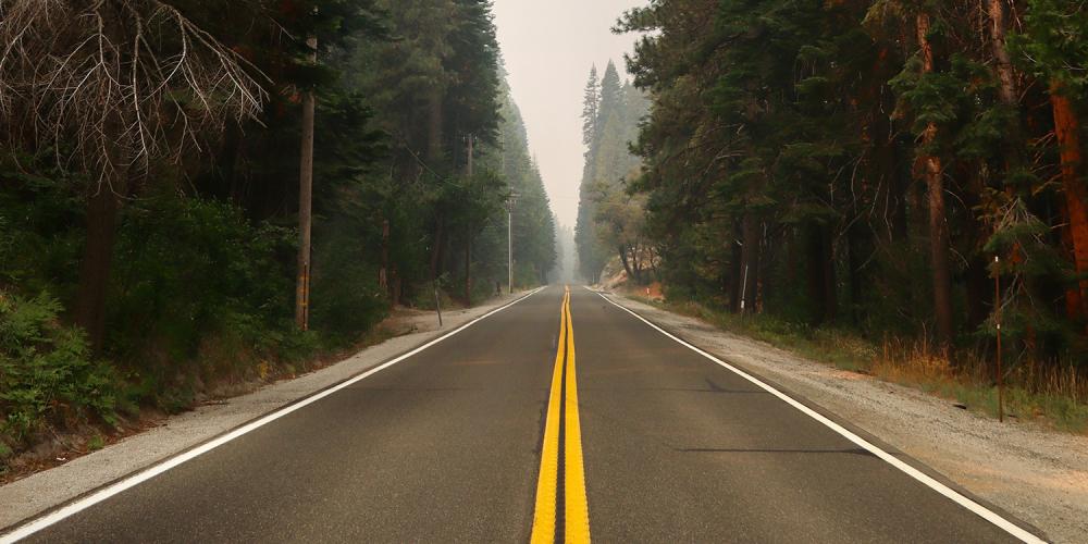 An empty highway through a forest in California.