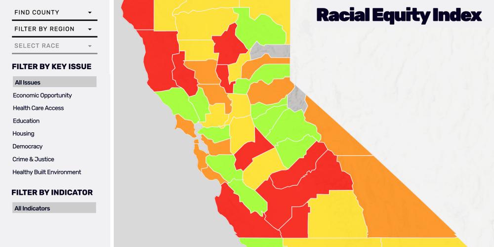 Screen capture of the racecounts.org tool.