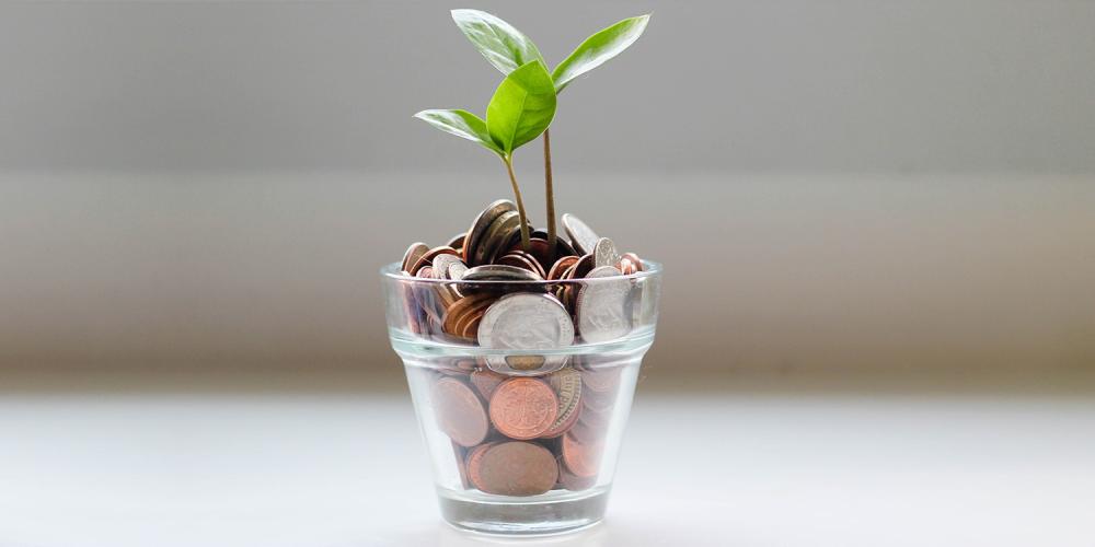 A plant growing out of a cup of coins.
