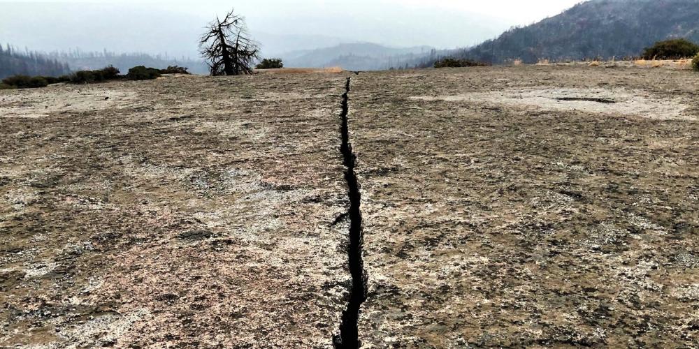Fissure in rock