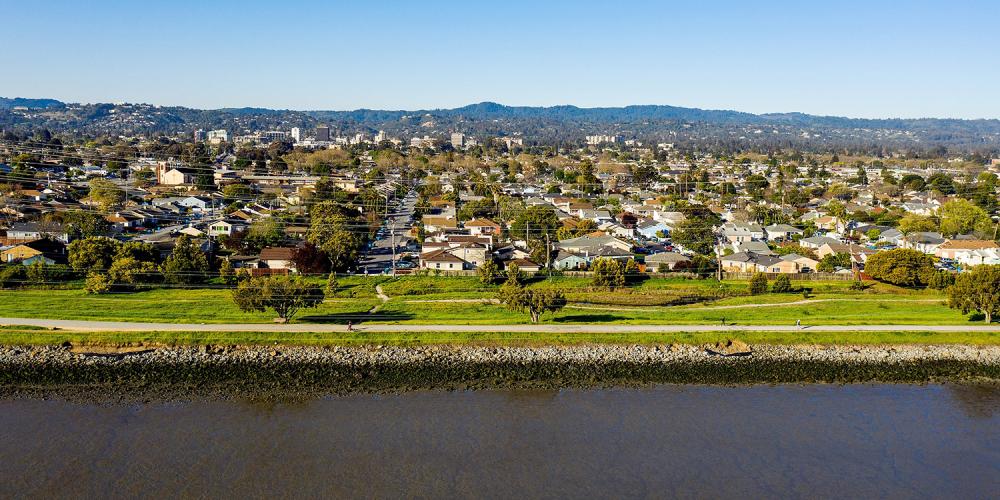 A shoreline community.