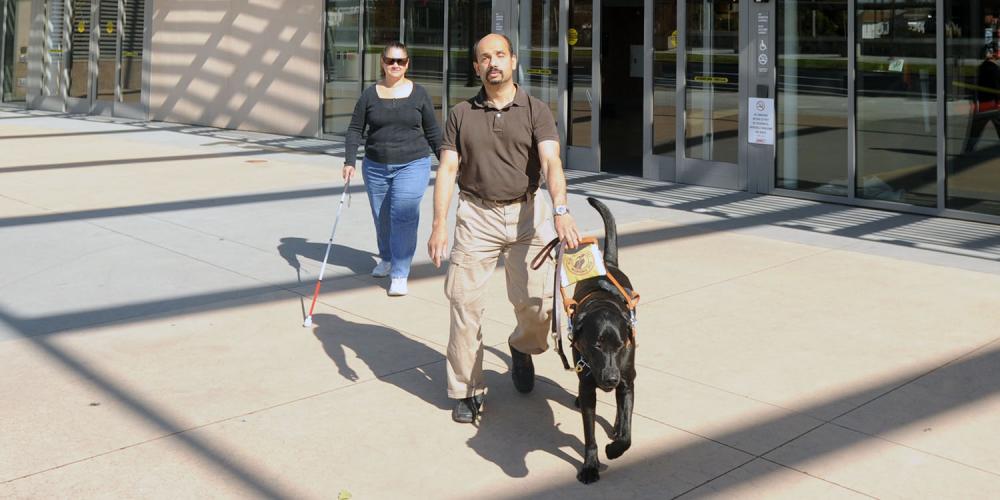 Two visually-impaired people: one walking with a cane, and one walking with a seeing-eye dog.