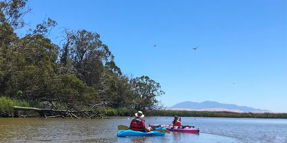 Two kayakers on the San Francisco Bay.