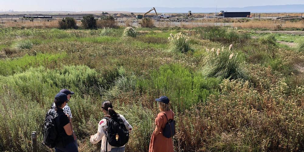 People walking through shoreline marsh.