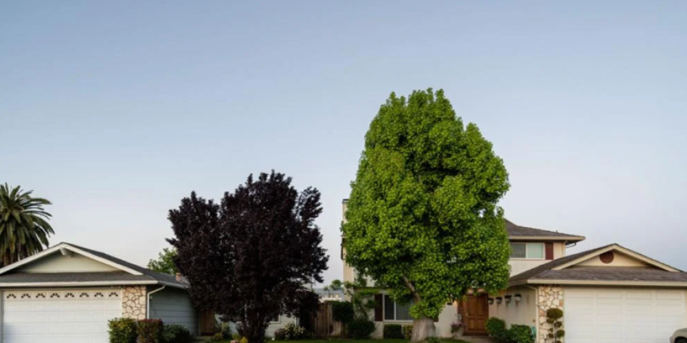 two single family homes separated by trees