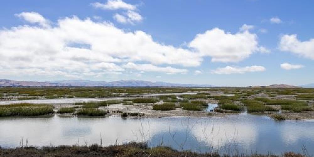 Clouds over the San Francisco estuary.