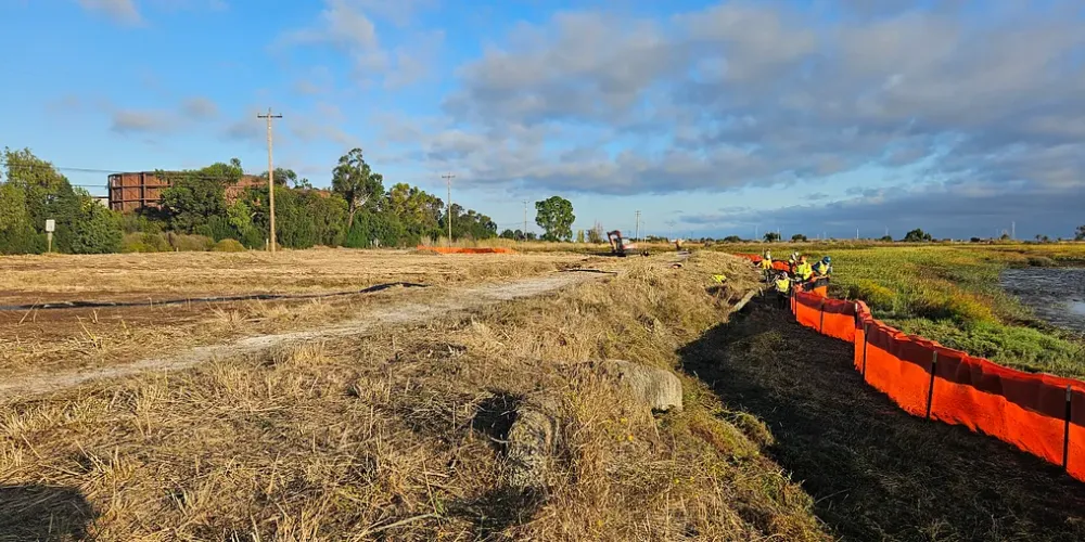 Horizontal levee