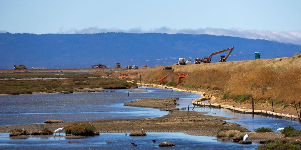 Wetlands restoration