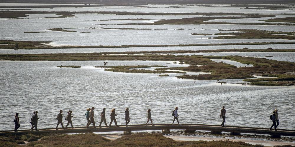 Silhouette of people walking on a shoreline path near marshland.