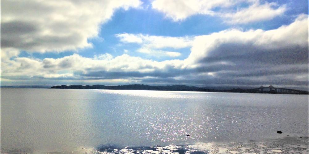Estuary