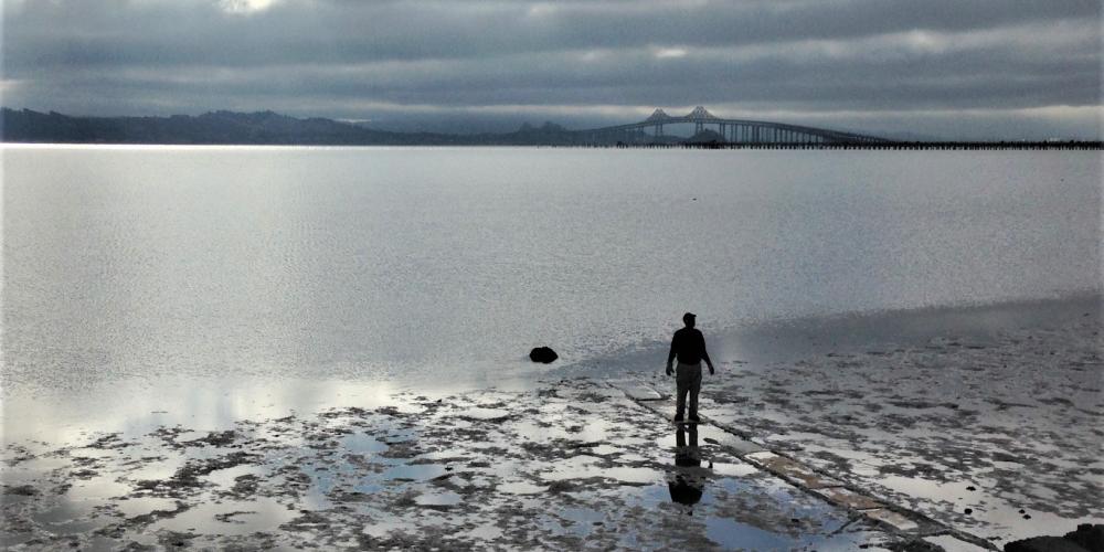San Francisco Estuary Partnership 