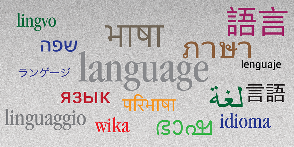 Get Language Assistance
