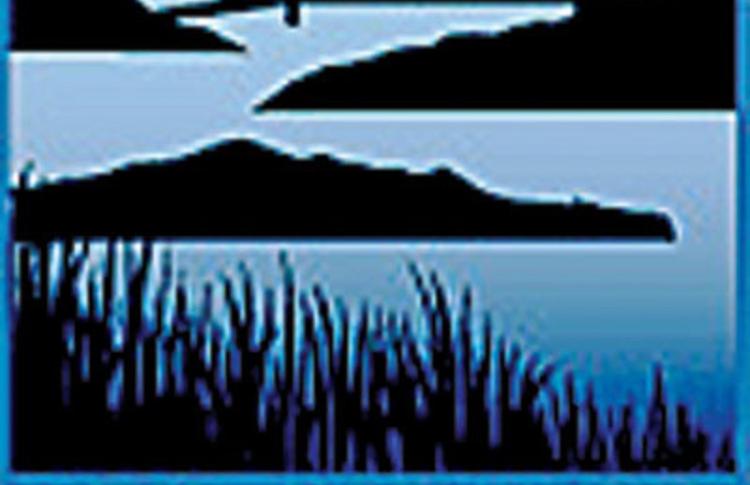 Estuary Logo reading San Francisco Estuatry Partnership with graphic of the bay with islands and bridge in the background