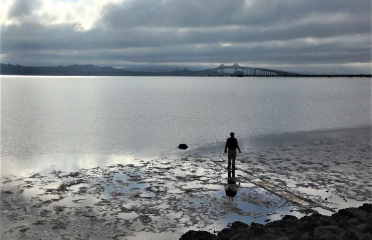 Estuary