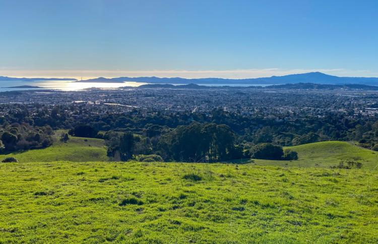 Bay Area