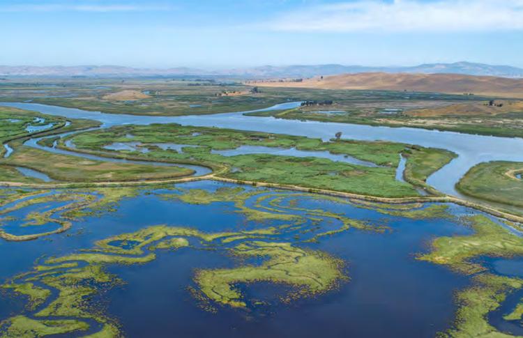 Aerial over the San Francisco Estuary.