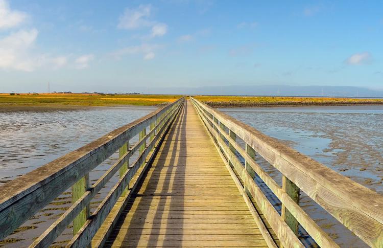 A Bay Trail pier extending into the distance on the Hayward Shoreline.