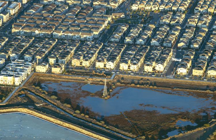 Sea level rise