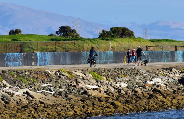 Bay Trail users at the San Leandro Marina.