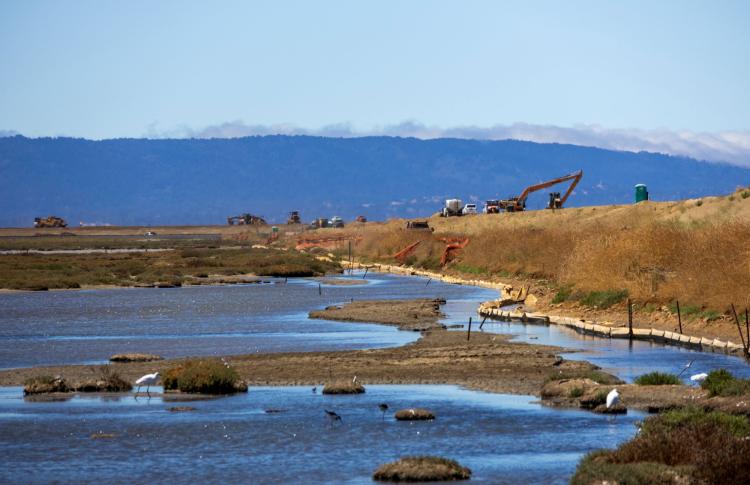 Wetlands restoration