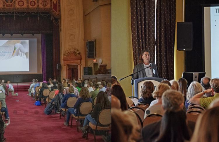 Past Estuary Conference photos.