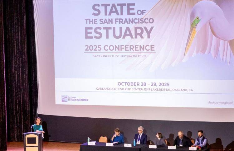 State of the Estuary
