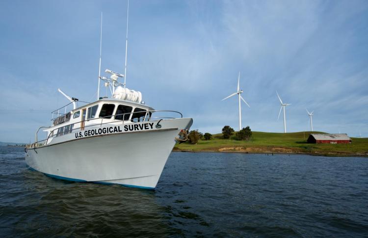 Estuary News