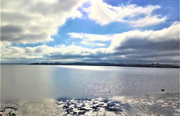 Estuary