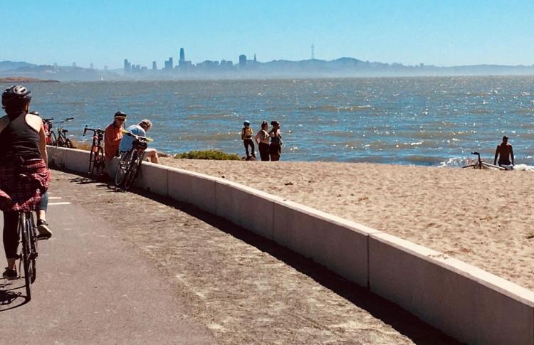 Bay Trail