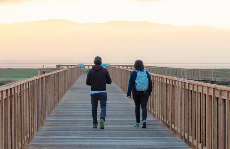Bay Trail