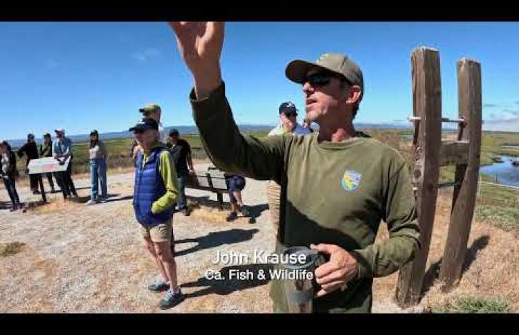Salt Ponds to Wetlands