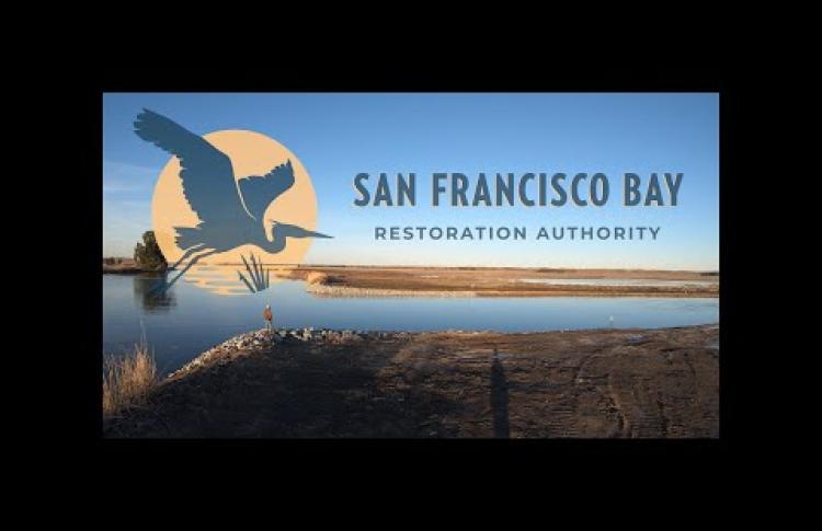 San Francisco Bay Restoration