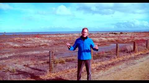 The Bay Trail with Doug McConnell